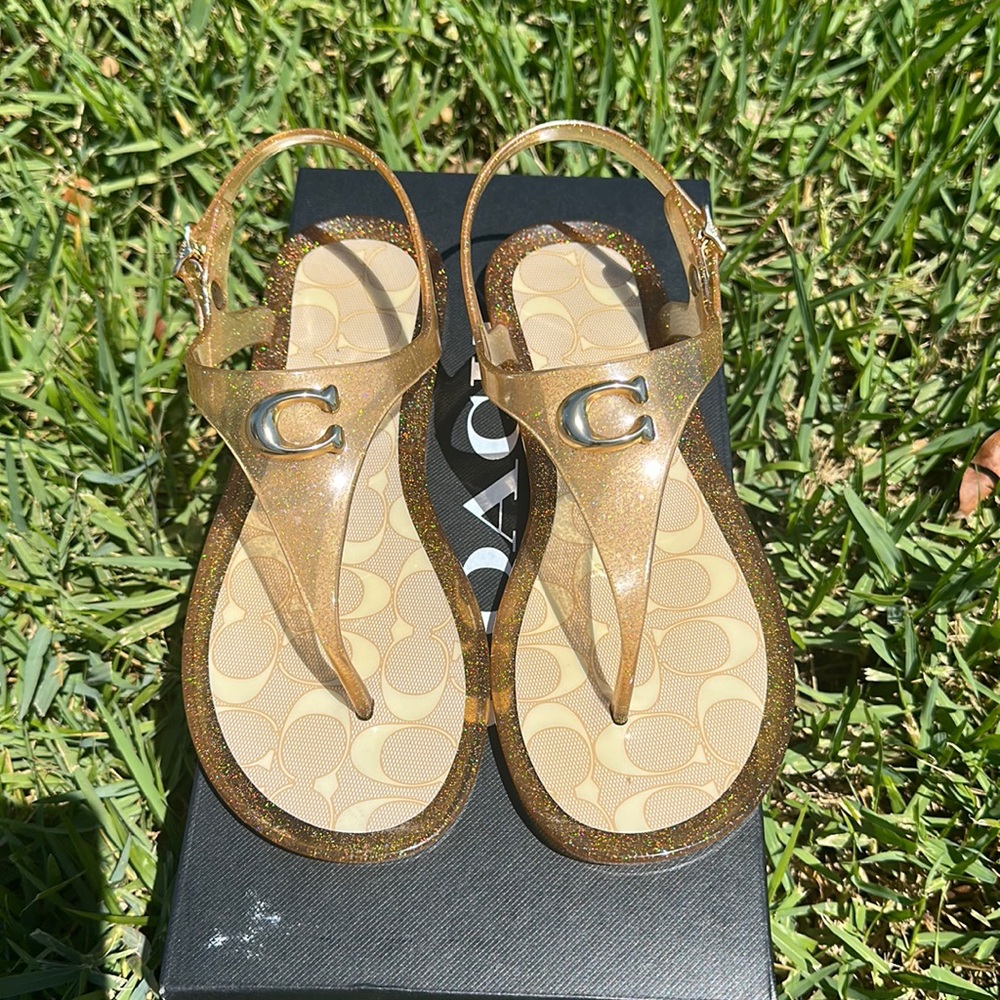 Coach Natalee Jelly BNWT Dark Gold 6
